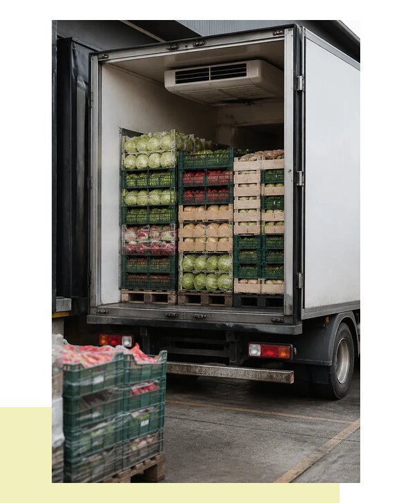 Перевозка плодоовощной продукции оптом напрямую в Сестрорецк
