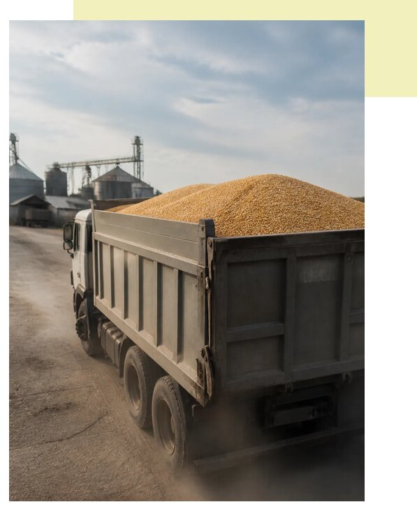 Перевозка сельхозпродукции навалом в Сестрорецк по цене от 3075 р. | Агросервис-Сст